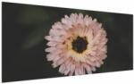 Mivali Tablou cu floare portocalie, dintr-o bucată 200x100 cm (V020428V200100)