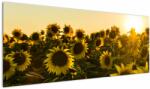 Mivali Tablou cu lan de floarea soarelui, dintr-o bucată 145x58 cm (V020915V14558)