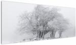 Mivali Tablou - Iarnă albă, dintr-o bucată 145x58 cm (V022824V14558)