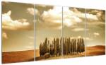 Mivali Tablou cu luncă, din patru bucăți 160x80 cm (V021929V16080)