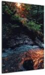 Mivali Tablou cu râu montan, dintr-o bucată 50x70 cm (V020254V5070)