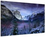 Mivali Tablou cu peisaj montan iarna, dintr-o bucată 90x60 cm (V020242V9060)