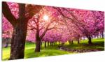 Mivali Tablou - Cireși înfloriți, Hurd Park, Dover, New Jersey, dintr-o bucată 145x58 cm (V022582V14558)