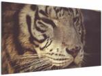 Mivali Tablou cu tigrul, dintr-o bucată 120x70 cm (V021200V12070)