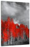 Mivali Tablou - Copaci în culorile toamnei, dintr-o bucată 30x40 cm (V022052V3040)