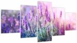 Mivali Tablou - Lavandă în strălucirea soarelui (cu ceas), din cinci bucăți 150x80 cm cu ceas (V022464V15080C)