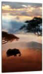 Mivali Tablou - Parcul Național Serengeti, Tanzania, Africa, dintr-o bucată 20x30 cm (V023034V2030)