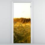 Mivali Fototapet pentru ușă - Iarba cu rouă (D020584D95205)