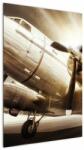 Mivali Tablou - Avion, dintr-o bucată 60x90 cm (V023051V6090)