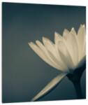 Mivali Tablou cu flori, dintr-o bucată 30x30 cm (V021223V3030)