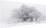 Mivali Tablou - Iarnă albă, dintr-o bucată 250x125 cm (V022824V250125)