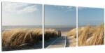Mivali Tablou - Plaja cu nisip de pe insula Langeoog, Germania, din trei bucăți 90x30 cm (V023268V9030)