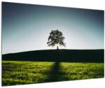 Mivali Tablou cu natura - copac, dintr-o bucată 90x60 cm (V020162V9060)