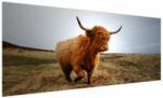 Mivali Tablou - Vaci scoțiene, dintr-o bucată 250x125 cm (V023697V250125)