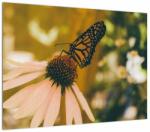 Mivali Tablou cu fluture pe floare, dintr-o bucată 70x50 cm (V021201V7050)