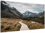 Mivali Tablou - Poteca în valea muntelui Mt. Cook, dintr-o bucată 120x70 cm (V021571V12070)
