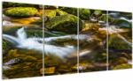 Mivali Tablou cu părâu, din patru bucăți 160x80 cm (V020338V16080)