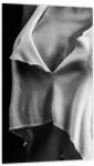 Mivali Tablou - Nud feminin, dintr-o bucată 20x30 cm (V024029V2030)