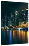 Mivali Tablou - Singapore noaptea, dintr-o bucată 30x40 cm (V022668V3040)