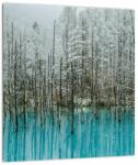 Mivali Tablou - Pescărie turcoaz, Biei, Japonia, dintr-o bucată 30x30 cm (V023163V3030)