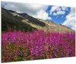 Mivali Tablou sceneriei cu lunca montană, dintr-o bucată 90x60 cm (V021604V9060)