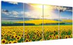 Mivali Tablou - Câmp cu floarea soarelui, din patru bucăți 160x80 cm (V022514V16080)