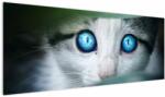 Mivali Tablou cu pisica, dintr-o bucată 145x58 cm (V020944V14558)