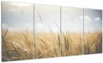 Mivali Tablou cu grâne, din patru bucăți 160x80 cm (V021378V16080)