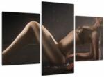 Mivali Tablou - Imaginea unei femei în picături de apă, din trei bucăți 90x60 cm (V023499V90603PCS)