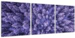 Mivali Tablou cu copacii înzăpeziți, din trei bucăți 90x30 cm (V021148V9030)