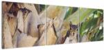 Mivali Tablou cu veverița în copaci, din trei bucăți 150x50 cm (V021177V15050)