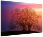 Mivali Tabloul pomilor în ceață, dintr-o bucată 100x70 cm (V020088V10070)