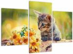 Mivali Tablou cu pisicuța uitându-se la floare, din trei bucăți 90x60 cm (V020943V90603PCS)