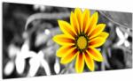 Mivali Tablou cu floare galbenă, dintr-o bucată 100x40 cm (V020361V10040)