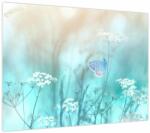 Mivali Tablou - Fluture în albastru, dintr-o bucată 70x50 cm (V024020V7050)