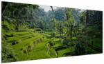 Mivali Tablou cu terasele cu orez Tegalalang, Bali, dintr-o bucată 200x100 cm (V021569V200100)