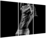 Mivali Tablou - Artă masculină, din trei bucăți 120x80 cm (V023837V120803PCS)