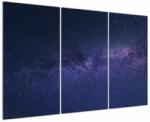 Mivali Taglou cu galaxie, din trei bucăți 120x80 cm (V020327V120803PCS)