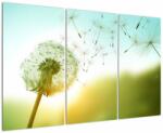 Mivali Tablou - Păpădia în vânt, din trei bucăți 120x80 cm (V022531V120803PCS)