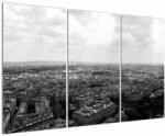 Mivali Tablou - Acoperișuri clădirilor din Paris, din trei bucăți 120x80 cm (V022613V120803PCS)