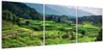 Mivali Tablou cu câmp de orez, din trei bucăți 120x40 cm (V020271V12040)