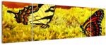 Mivali Tablou cu fluturi, din trei bucăți 170x50 cm (V020481V17050)