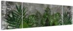Mivali Tablou - Zid de beton cu plante, din trei bucăți 170x50 cm (V022812V17050)