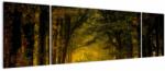 Mivali Tablou cu pădure, din trei bucăți 170x50 cm (V021219V17050)