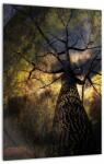Mivali Tablou - Cerul enigmatic, dintr-o bucată 30x40 cm (V021560V3040)