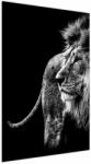 Mivali Tablou - Leu, dintr-o bucată 60x90 cm (V023848V6090)