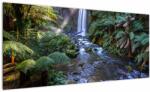 Mivali Tablou cu pădurea ploilor din Austalia, dintr-o bucată 100x40 cm (V021687V10040)