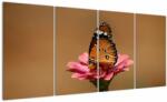 Mivali Tablou cu fluture pe floare, din patru bucăți 160x80 cm (V020268V16080)