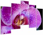Mivali Tablou detailat cu floare de orhidee, din cinci bucăți 125x90 cm (V020314V12590)