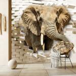 Mivali Fototapet - Elefant spărgând perete, vlies, 98x68 cm (T100356TQ2)